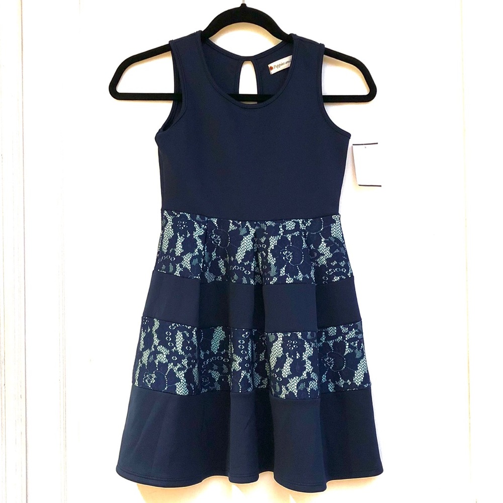 Poppies and Roses Navy and Light Blue Dress